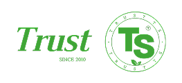 TS